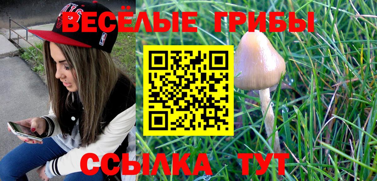 Лсд 25  Таганрог  Гашиш  ГАШ  Вход с VPN  Меф   Конопля  Меф МЯУ МЯУ 