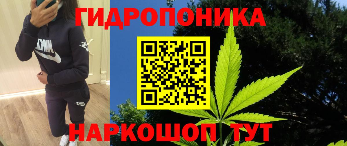 Бошки Шишки OG Kush  Канабис семена  Вход с VPN  Таганрог 