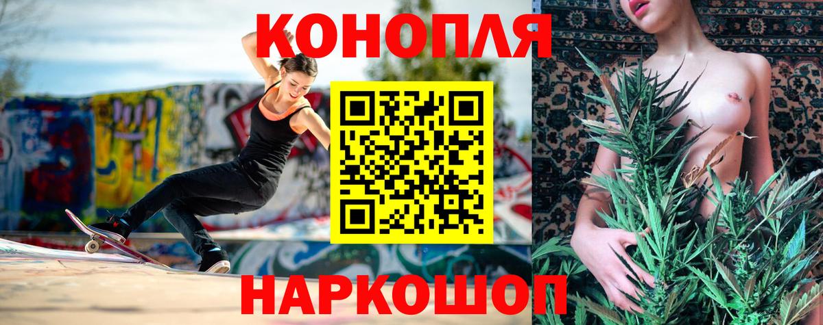 Каннабис сатива Таганрог